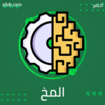 المخ العقلاني المخ العقلاني