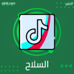 السلاح الصيني