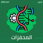 تأثير المحفزات البيئية في البنية البيولوجية