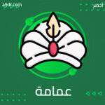مقاوم ذو عمامة.. هبة عربية