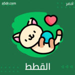 هل تَعْشق القطط؟