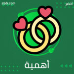 أهمية وضع الحدود
