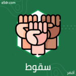 سقوط الشاه وقيام الدولة الإسلامية