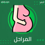 من المراحل الأولى من المراحل الأولى