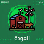 العودة إلى مصر