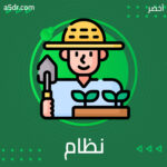 نظام الالتزام 