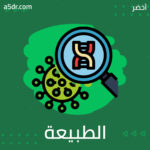  الطبيعة الكيميائية للحمض النووي