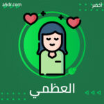 العظمي والعقلي.. النوعان الأقل حظًّا في الزواج