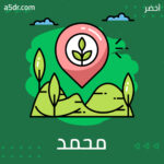 محمد علي باشا